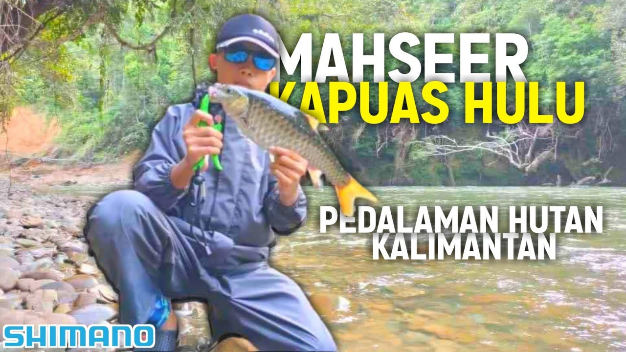 Video Mancing 2
